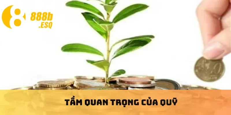 Tầm quan trọng của quỹ